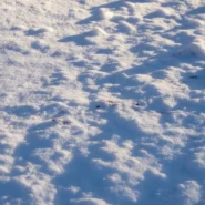 Boston snow forecast - Boston Snow Forecast: City Braces for Two More Chances of Nothing