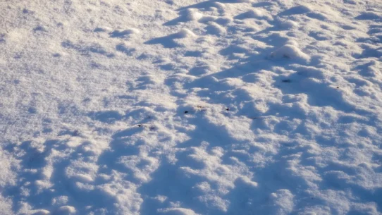 Boston snow forecast - Boston Snow Forecast: City Braces for Two More Chances of Nothing