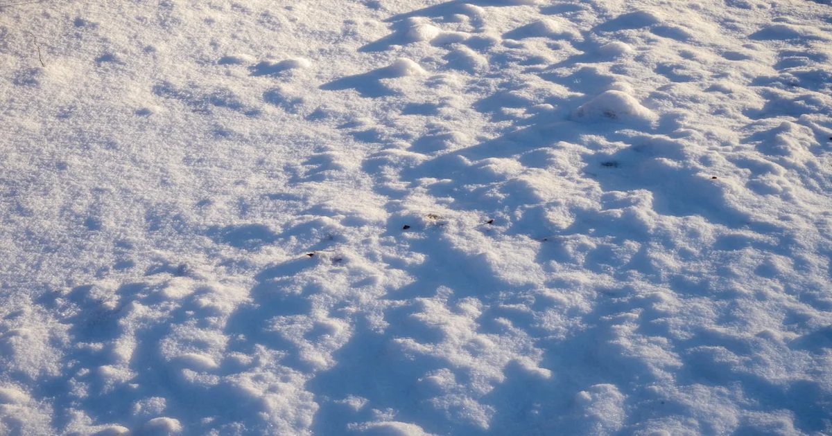 Boston snow forecast - Boston Snow Forecast: City Braces for Two More Chances of Nothing