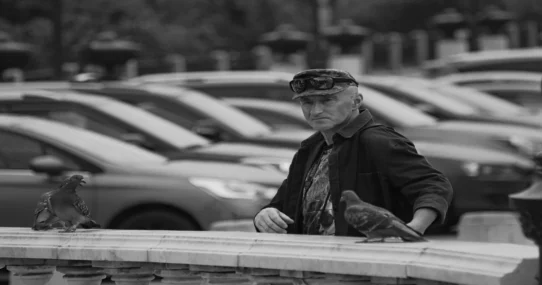 removal of Prince Andrew - Buckingham Palace Debates Removing Prince Andrew With Elaborate Pigeon Courier System