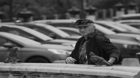 removal of Prince Andrew - Buckingham Palace Debates Removing Prince Andrew With Elaborate Pigeon Courier System