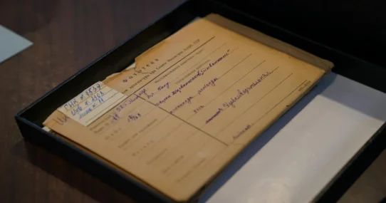 Connecticut state offices - Connecticut State Offices Closed for Epic Snow Fort Construction