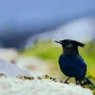 Dead Presidents streaming - Dead Presidents Streaming Finally Hits Platforms After 30-Year Data Glitch