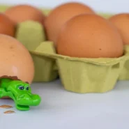 dinosaur eggshells - Dinosaur Eggshells Discovered to Be Shockingly Judgmental About Other Fossils’ Age