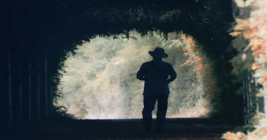 Langley Superstardom Walls - Ella Langley's Walled-Off Superstardom Declared National Security Threat