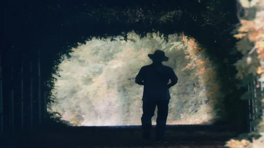 Langley Superstardom Walls - Ella Langley's Walled-Off Superstardom Declared National Security Threat