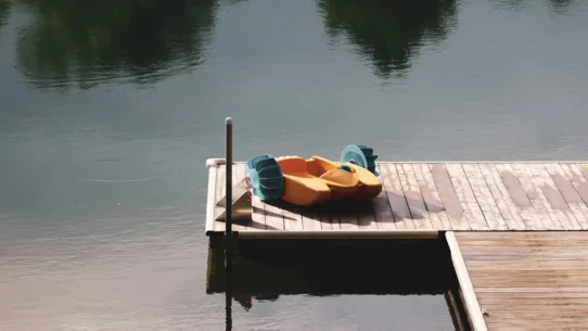 Greenwood Music Politics - Greenwood Music Politics: Radiohead Guitarist Declares Music Immune to Gravity