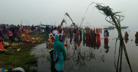 Groovin the Moo Lismore - Groovin The Moo Returns To Lismore, Boasts ‘Unprecedented’ Swamp-Based Lineup