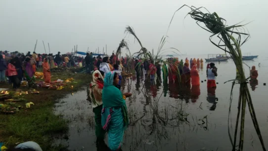 Groovin the Moo Lismore - Groovin The Moo Returns To Lismore, Boasts ‘Unprecedented’ Swamp-Based Lineup