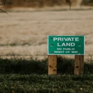 rapid AI images - Islanders Panicked as Rapid AI Images Demand Digital Nation