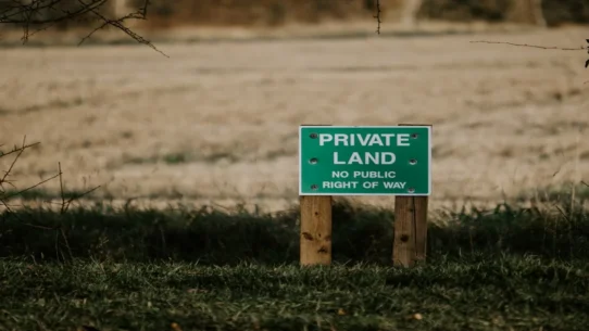 rapid AI images - Islanders Panicked as Rapid AI Images Demand Digital Nation