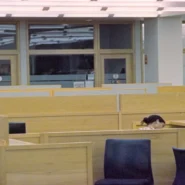 Journalist Desk Arrest - Journalist Desk Arrested For Failing To Meet Daily Word Count