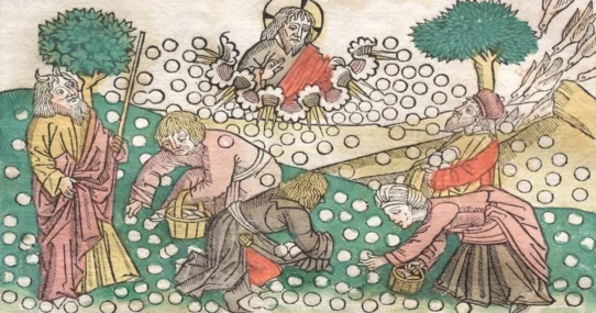 Bow To Your Superior - Landowner Demands Public "Bow To Your Superior" After Album Drop