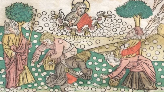 Bow To Your Superior - Landowner Demands Public "Bow To Your Superior" After Album Drop