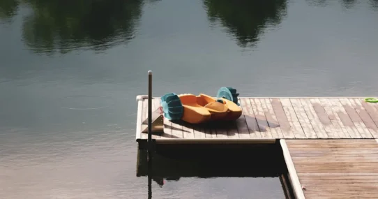 Maria BC's Rare - Maria BC's Rare Single Declared Only Existing Song To Truly Exist