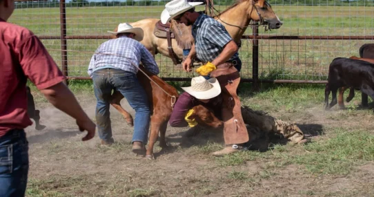 Top Country Albums Chart - Mystic Rites Keep Male Artists Atop Top Country Albums Chart