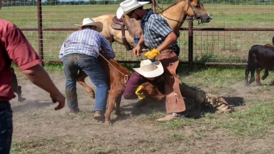 Top Country Albums Chart - Mystic Rites Keep Male Artists Atop Top Country Albums Chart