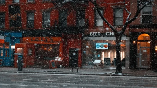 NYC Homeless Blizzard - NYC Homeless Blizzard Solved: City Declares Cold No Longer an Issue for Unhoused