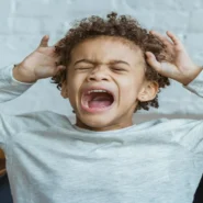 Panera value menu - Panera Value Menu Spurs Panic Among Patrons