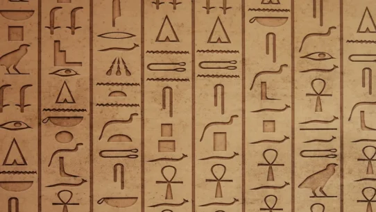 Potomac Sewage Sentience - Potomac Sewage Spill Declared Sentient, Demands Seat at UN Security Council