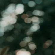 Quiet Light Mixtape - Quiet Light Drops Blue Angel Sparkling Silver 2, Fans Brace for More