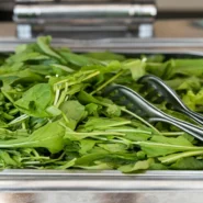 ouster of Venezuela's Maduro - Rubio Defends US Ouster of Maduro to Leaders Who Just Want Free Rum