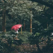 she's green mettle - She's Green's 'Mettle' Single Unearths Ancient Botanical Conflict