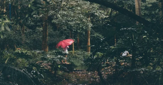 she's green mettle - She's Green's 'Mettle' Single Unearths Ancient Botanical Conflict