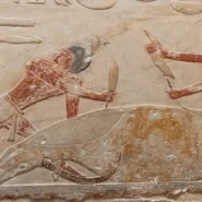 ancient Chinese disasters - Ancient Chinese Disasters Solved by Teenager's TikTok Dance