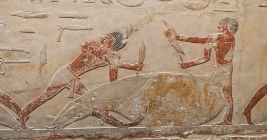 ancient Chinese disasters - Ancient Chinese Disasters Solved by Teenager's TikTok Dance