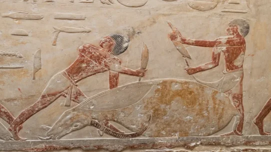 ancient Chinese disasters - Ancient Chinese Disasters Solved by Teenager's TikTok Dance