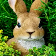 Australia Showed Up - “Australia Showed Up” So Hard for Bad Bunny, They Forgot How to Go Home