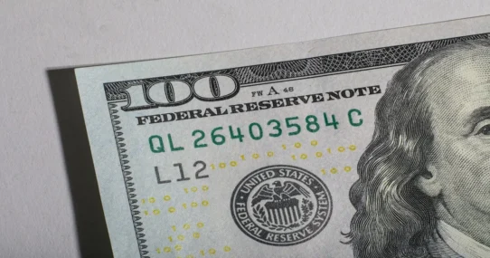 British Banknote Backlash - Beavers Spark Furious British Banknote Backlash