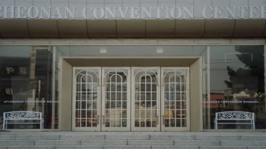 DNC 2028 Convention - DNC Narrows 2028 Convention Cities To Locations With Best Artisanal Kombucha