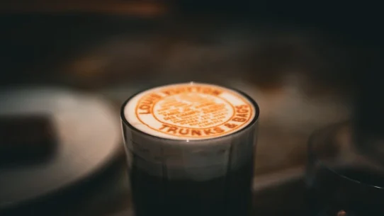 Finland's PM lost - Finland's PM Lost Due to Controversial 'No-Pulla' Stance