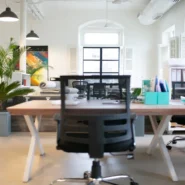 Marin Concedes Everything - Finland's Prime Minister Sanna Marin Concedes Everything, Including Her Own Existence