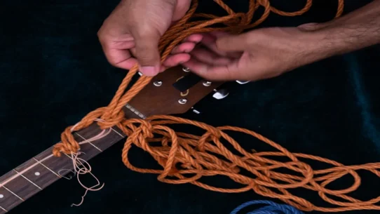 Twigs trademark dispute - FKA twigs Demands Indie Band Twigs Halt Trademark Barrage