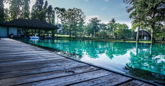 flight to nowhere - Gen Z Woman's 'Flight to Nowhere' Leads to Harrowing 5-Star Doha Hotel Stay