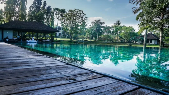 flight to nowhere - Gen Z Woman's 'Flight to Nowhere' Leads to Harrowing 5-Star Doha Hotel Stay