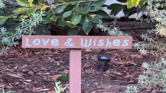 Gladie's 'I Want That For You' - Gladie's 'I Want That For You' Sparks Unprecedented Surge in Vague Well-Wishing