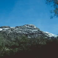 Gorillaz New Album - Gorillaz Release New Album The Mountain, Featuring Absolutely Everyone