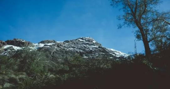 Gorillaz New Album - Gorillaz Release New Album The Mountain, Featuring Absolutely Everyone