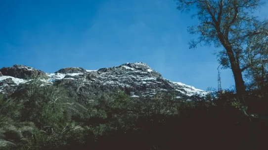 Gorillaz New Album - Gorillaz Release New Album The Mountain, Featuring Absolutely Everyone