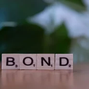 Government Bonds Rallying - Government Bonds Rallying as Public Trusts Flimsy Promises Over Reality