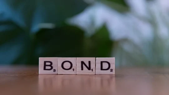 Government Bonds Rallying - Government Bonds Rallying as Public Trusts Flimsy Promises Over Reality