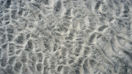 Harry Styles parodies - Harry Styles Parodies Queerbaiting, Himself On SNL