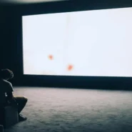 ferret free - Island Becomes Ferret-Free, Residents Grapple With Sudden Onset of Peace