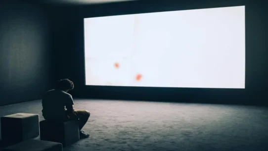 ferret free - Island Becomes Ferret-Free, Residents Grapple With Sudden Onset of Peace