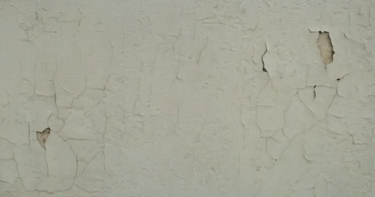 Kanye West Malibu Mansion Trial - Kanye West Malibu Mansion Trial: Tony Saxon Denies 'Fraudulent Fungus'