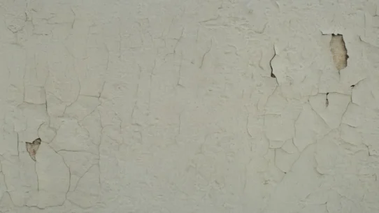 Kanye West Malibu Mansion Trial - Kanye West Malibu Mansion Trial: Tony Saxon Denies 'Fraudulent Fungus'